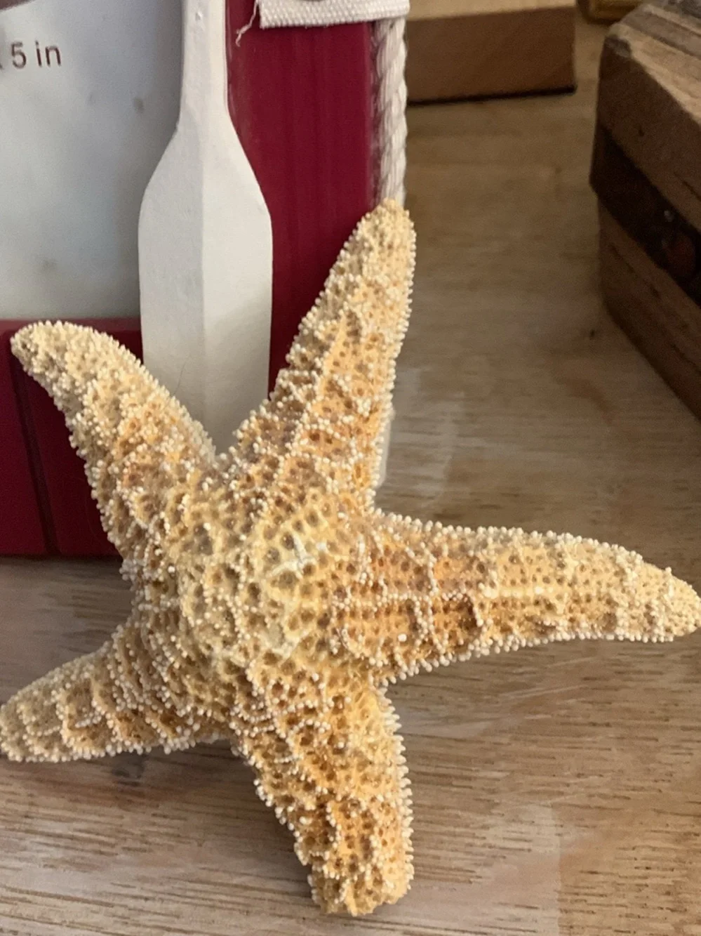 Decorative Natural Starfish - Coastal Accent in Cream and Tan